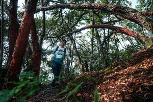 BIB: 
                            <button type="button" onclick="openModal(26344467)" class="btn btn-primary btn-sm float-right btn-popup" data-toggle="modal" data-target=".modal-high-quality">
                        <i class="fas fa-shopping-cart"></i> Add to Cart
                    </button>
                                            <button type="button" onclick="isThisMe(26344467, true)" class="btn btn-success btn-sm float-right btn-popup btn-isme hidden" data-toggle="tooltip" data-placement="bottom" title="นี่คือรูปของคุณใช่ไหม คลิกที่นี่เพื่อเอาเข้าอัลบั้ม">
                        <i class="fas fa-plus"></i> Add to album
                    </button>
                    <button type="button" onclick="isThisMe(26344467, false)" class="btn btn-warning btn-sm float-right btn-popup btn-isnotme hidden">
                        <i class="fas fa-ban"></i> Remove from album
                    </button>